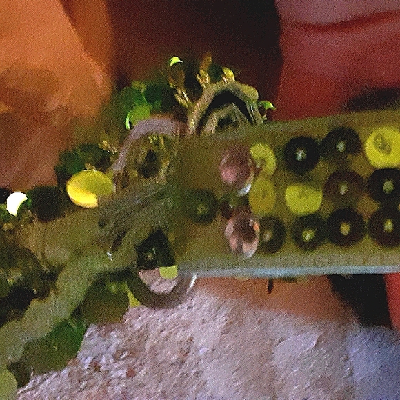 Green Gypsy Tote with zipper - Picture 3 of 7